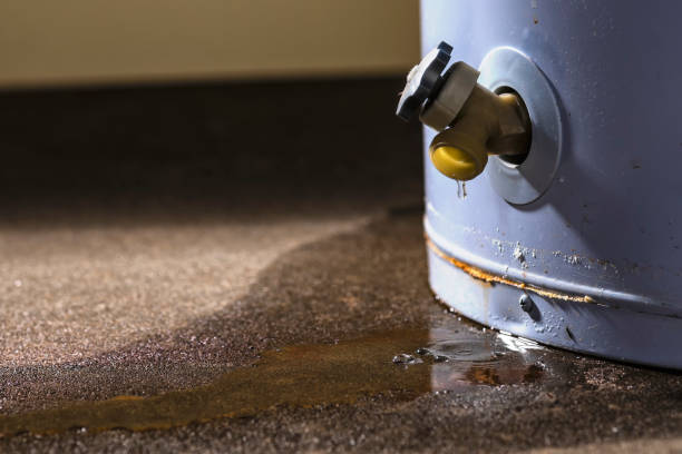 Best Water damage contractors near me  in Waterbury, CT