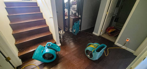 Best Water damage restoration specialists  in Waterbury, CT