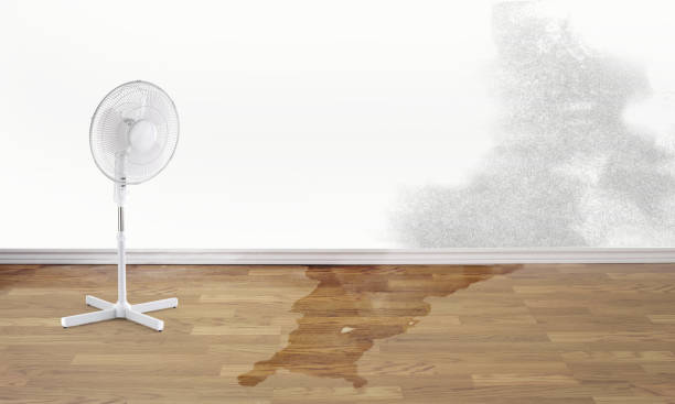 Best Local water damage restoration  in Waterbury, CT