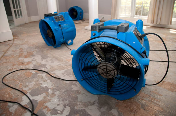 Best Carpet water damage restoration  in Waterbury, CT