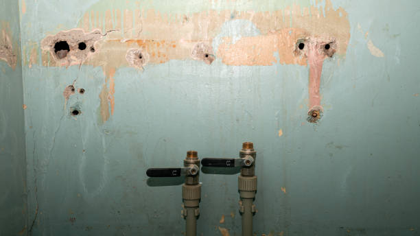 Best Mold removal after water damage  in Waterbury, CT